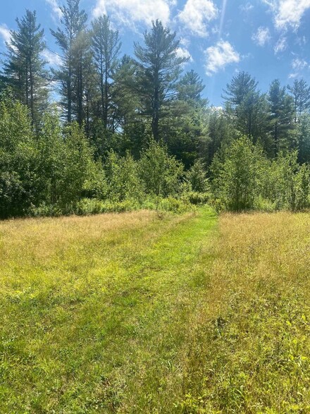 Lot 1 Pikes Falls Rd Unit Lot 1, Jamaica, VT 05343
