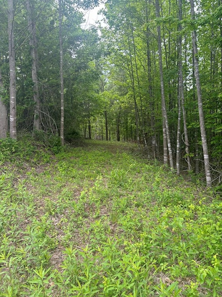 Lot 23 Panorama Forest, Hayesville, NC 28904