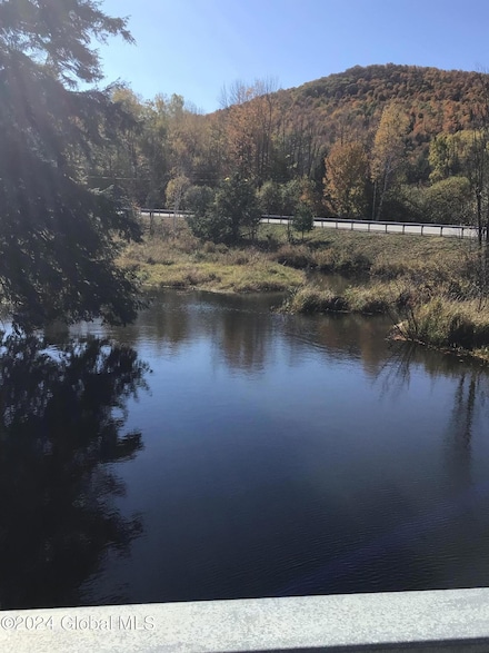 L50 Garnet Lake Rd, Johnsburg, NY 12843
