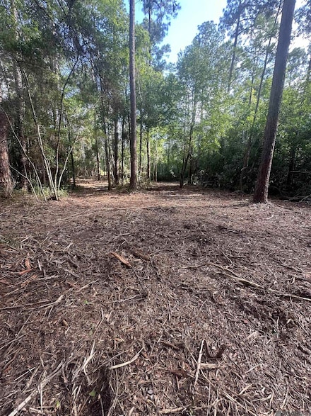 0 Hwy 435 Hwy Unit 2025011568, Abita Springs, LA 0000