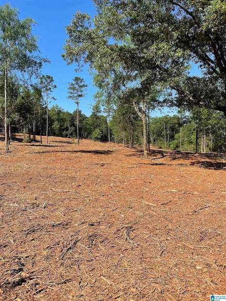 0 Ironaton Rd Unit 3 21423967, Talladega, AL 35160