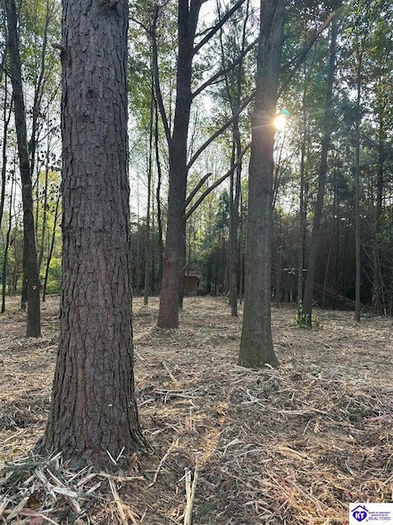 125 Sassy Ct, Campbellsville, KY 42718