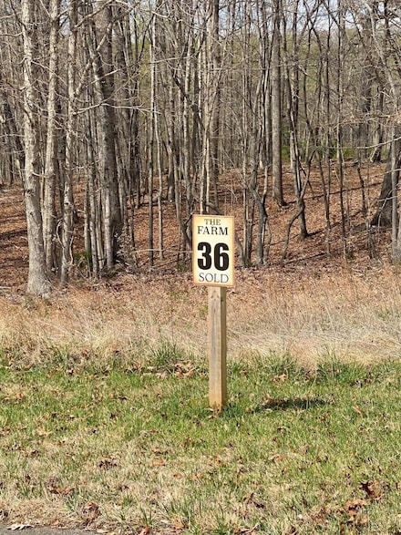 Lot 36 Smokehouse Rd, Moneta, VA 24121