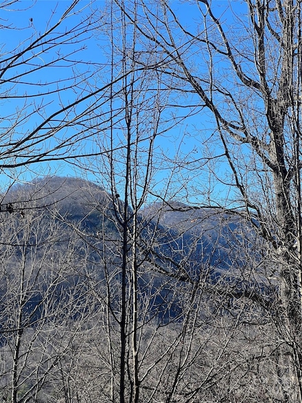Lot 42 Hawks Nest Trail, Lake Lure, NC 28746