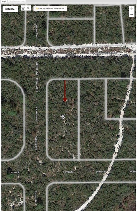 5800 Peach Blossom St Lt 1, Sebring, FL 33870