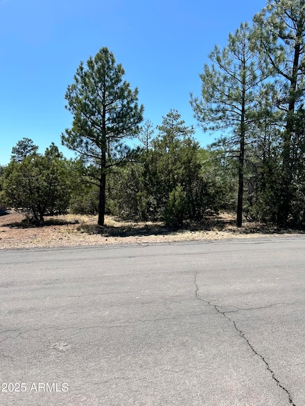 5454 Gray Wolf Dr Unit 53, Wagon Wheel, AZ 85929