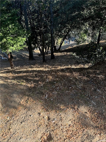 267 Wylerhorn Dr, Crestline, CA 92325