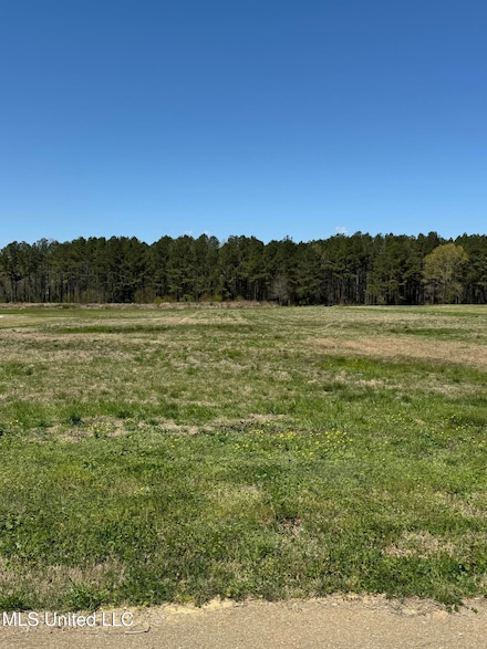 0 Clark Stables Rd, Brandon, MS 39047
