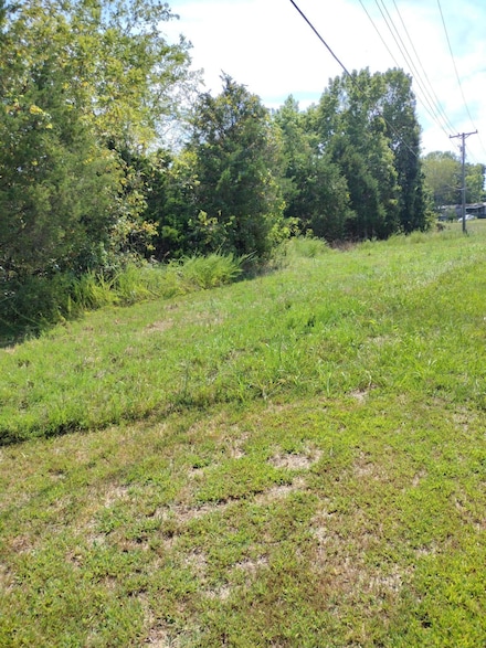121 Garges Blvd, Highlandville, MO 65669