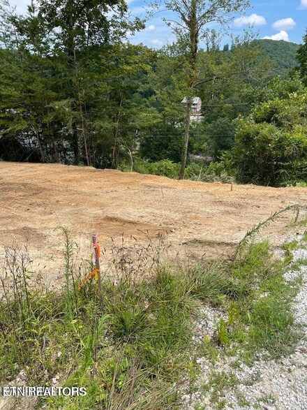 0 Perry Smith Ln, Caryville, TN 37714