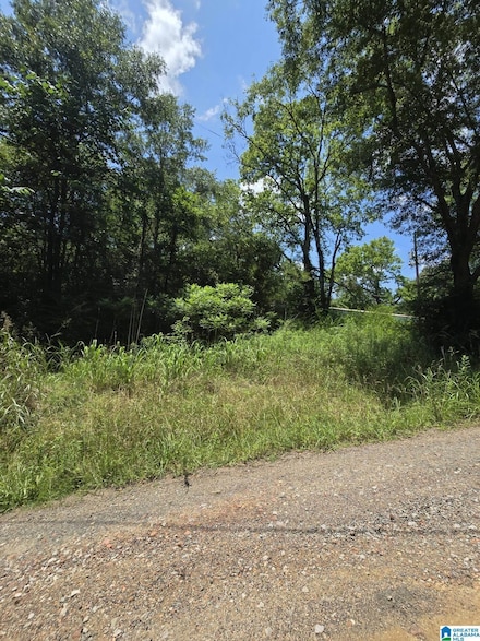 39 Thomas Rd, Cordova, AL 35550