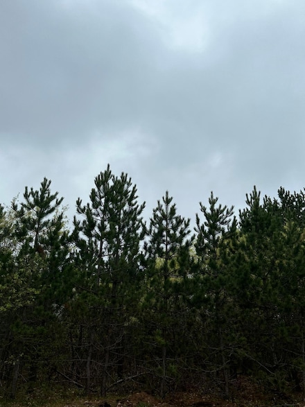 ON Kelly Fire Ln Unit Lot 6, Tomahawk, WI 54487