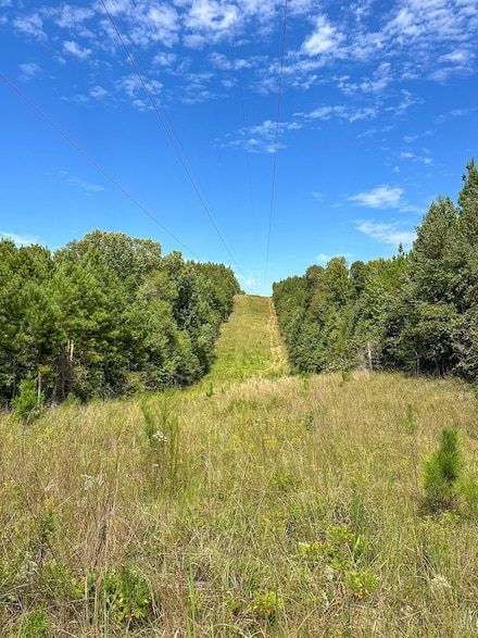 0 County Road 52 Unit 21701535, Goodwater, AL 35072