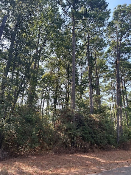 1920 Caldwell St, Livingston, TX 77351