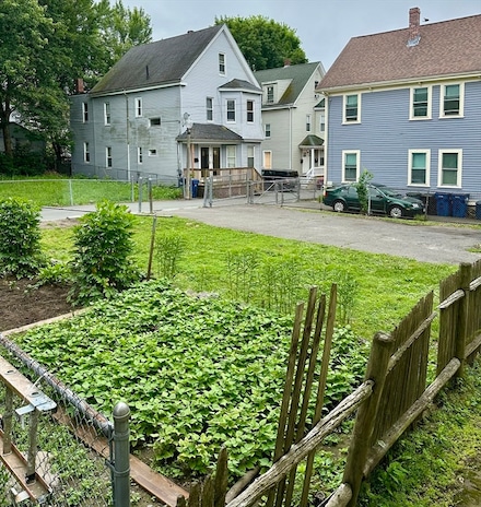 1-3 Glines Ave, Boston, MA 02119