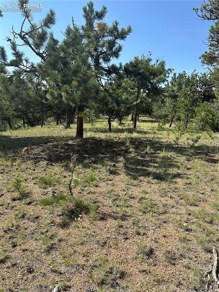 315 Thunder Ridge Rd, Florissant, CO 80816