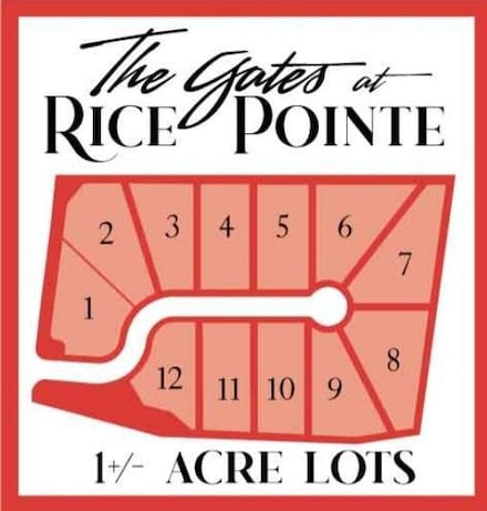 0 Academy Rd Unit Lot 3 25012272, Walterboro, SC 29488