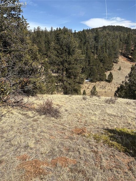 70 Brown Bear Ln, Cripple Creek, CO 80813