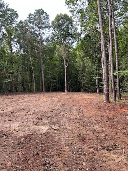 2580 Sargent Rd, Dalzell, SC 29040