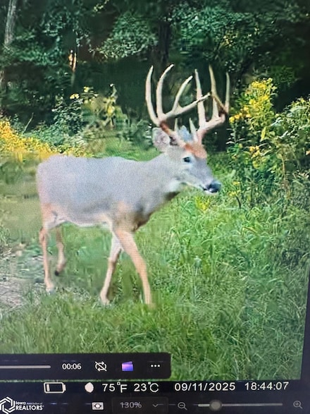 13241 Hickory Blvd, Drakesville, IA 52552