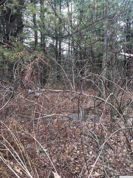 14 - H Appalachian Dr, Sleepy Hollow Lake, NY 12015