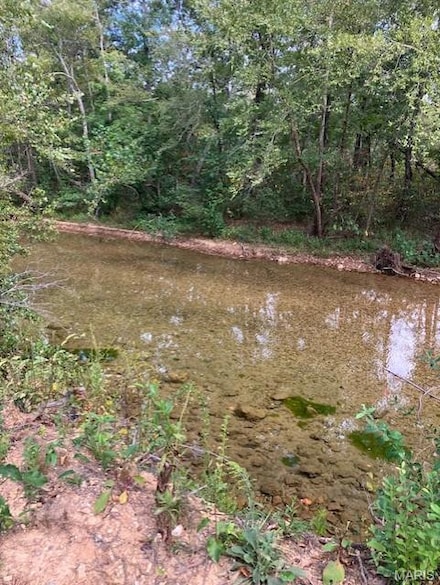 410 Madison St, Fredericktown, MO 63645