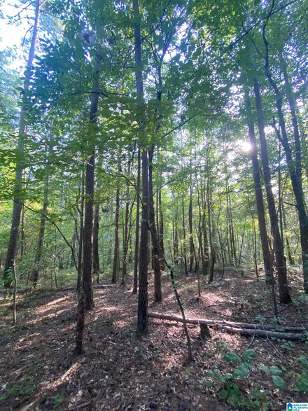 0 Pointe Dr S Unit 1 21403814, Wedowee, AL 36278