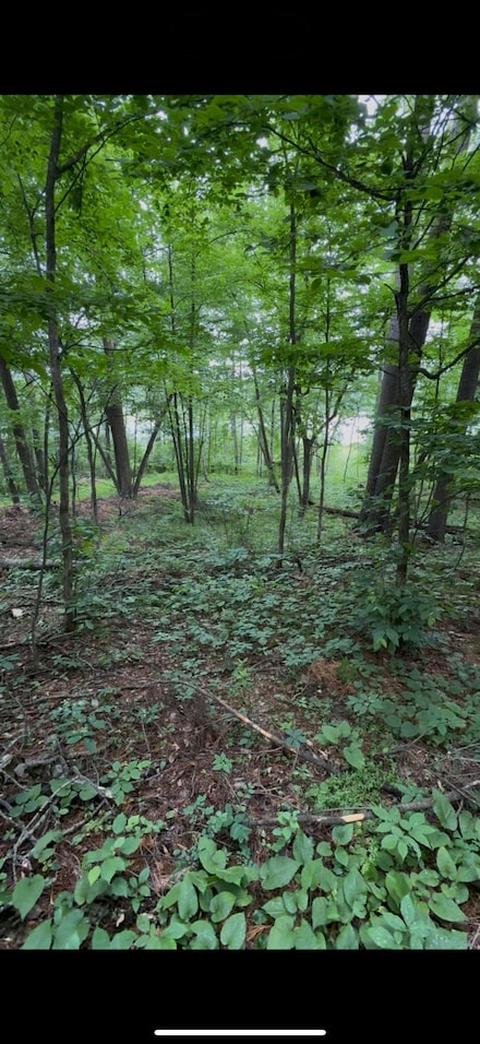 TBD Fawn Lake Ln, Nisswa, MN 56468