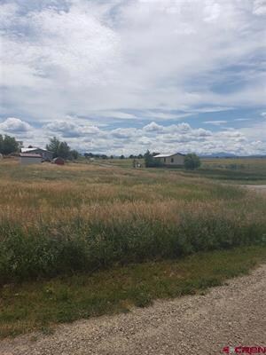 Unassigned W Homestead Rd Unit 73, Norwood, CO 81423