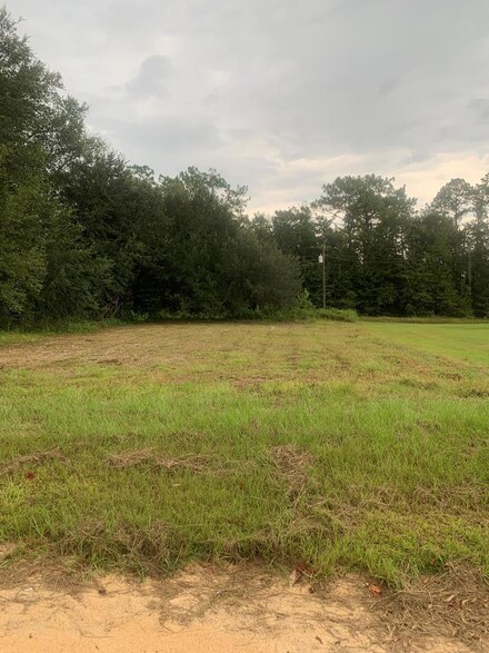 16,17 Roy Hodges Rd, Donalsonville, GA 39845