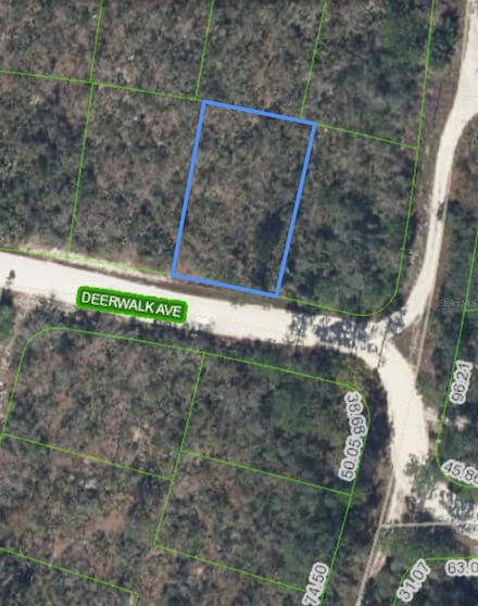 284 Deerwalk Ave, Lake Placid, FL 33852