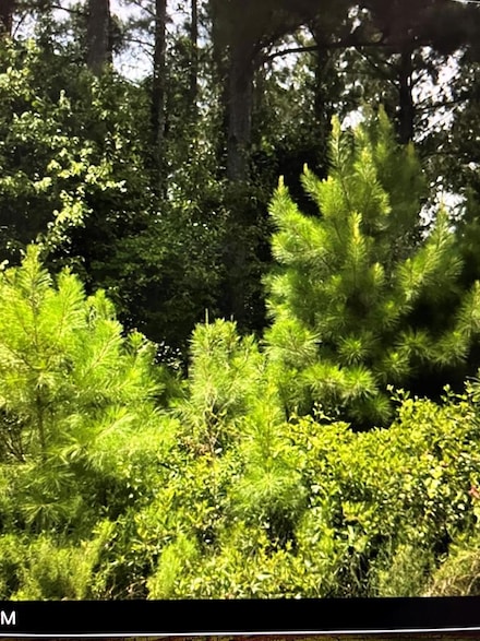 00 N A, Denton, GA 31532