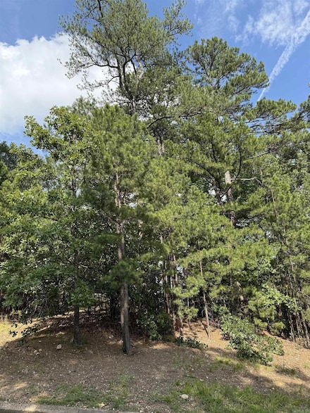 Lot 7 Beckenham, Little Rock, AR 72212