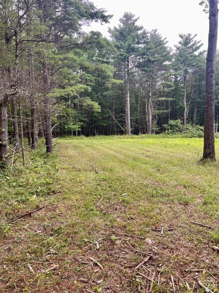 0 Posson Hill Rd Unit Lot 3 154106, Middleburgh, NY 12122