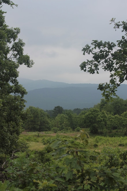 53725 Frazier Creek Rd, Talihina, OK 74571