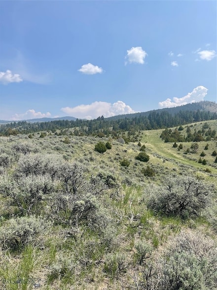 tbd Round Pole Dr, Clarkston, MT 59752