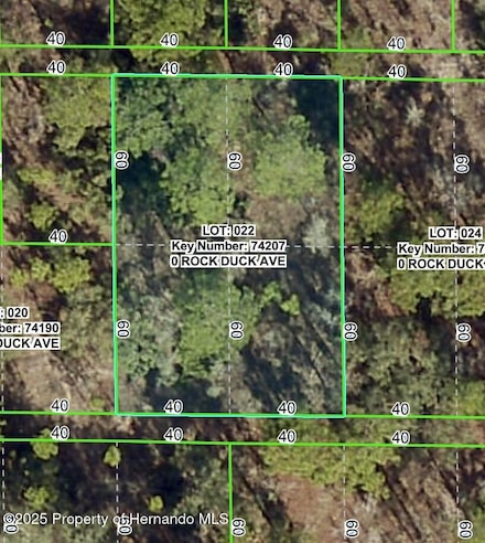 0 Rock Duck Ave Unit 2256071, Weeki Wachee, FL 34614