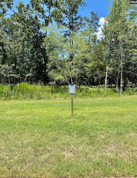 546 Misty Banks Dr, Chapin, SC 29036