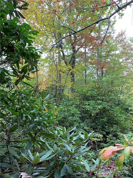 000 Eastatoe Gap Rd, Rosman, NC 28772