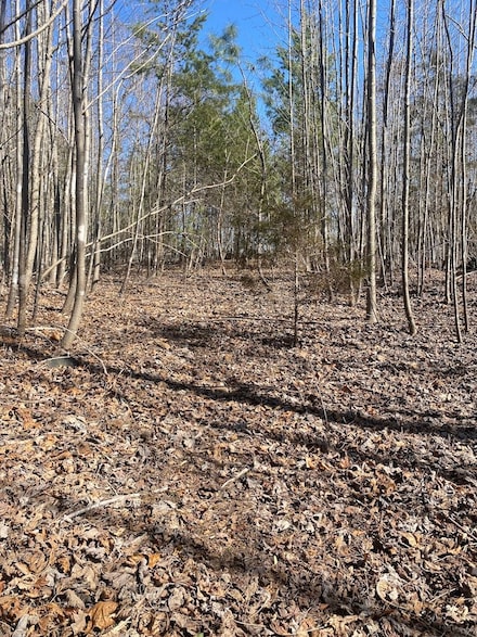 00 N Carolina 18 Unit LotWP002, Vale, NC 28168