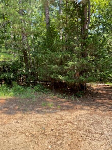 65&67 Ponderosa Dr, Lincolnton, GA 30817