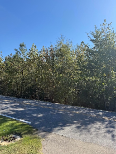 Lot 26 King Rd, Hattiesburg, MS 39402