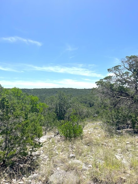 3835 Bluff Creek Rd Unit 29, Leakey, TX 78873