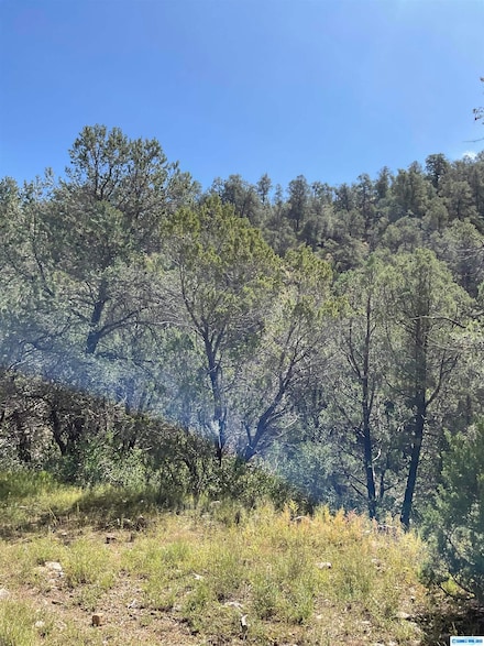 6xxxx Georgetown Rd Unit Lou Mine, Hanover, NM 88041