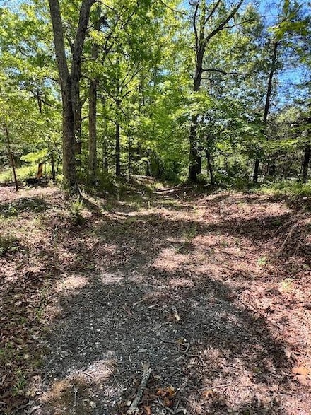 FKA Elon Rd, Monroe, VA 24574