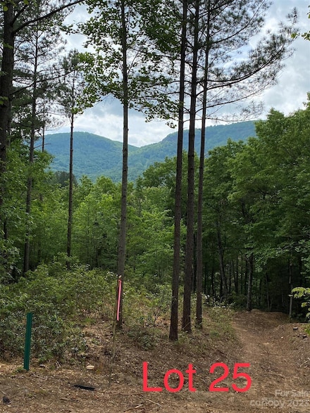 LOT 25 Monteith Place, Mill Spring, NC 28756