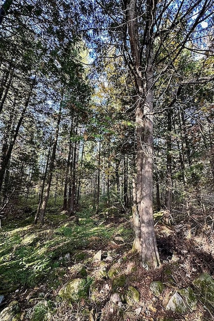 0 Bear Lake Rd Unit 22675935, Chippewa, WI 54514