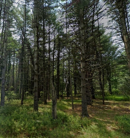 119 Weasel Rd, Dingmans Ferry, PA 18328