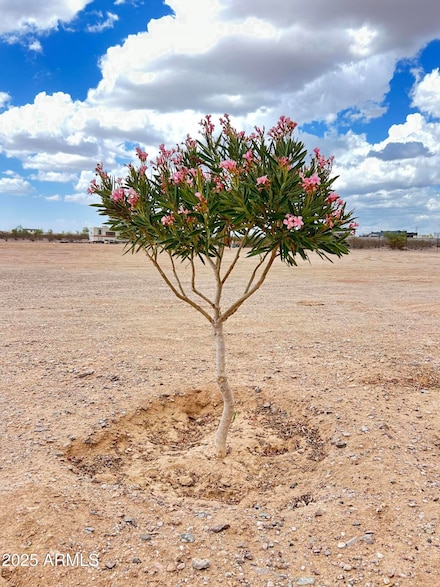 000 S 355th Ave Unit 1, Tonopah, AZ 85354