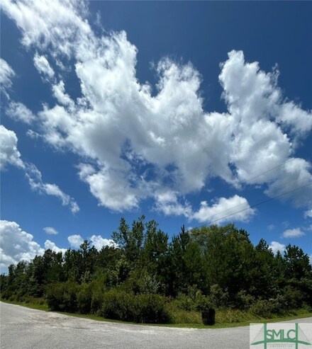 Lot 19 Main Trail, Midway, GA 31320